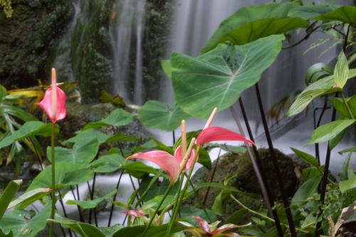 photography/waterfall.jpg